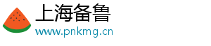 上海备鲁数字科技有限公司